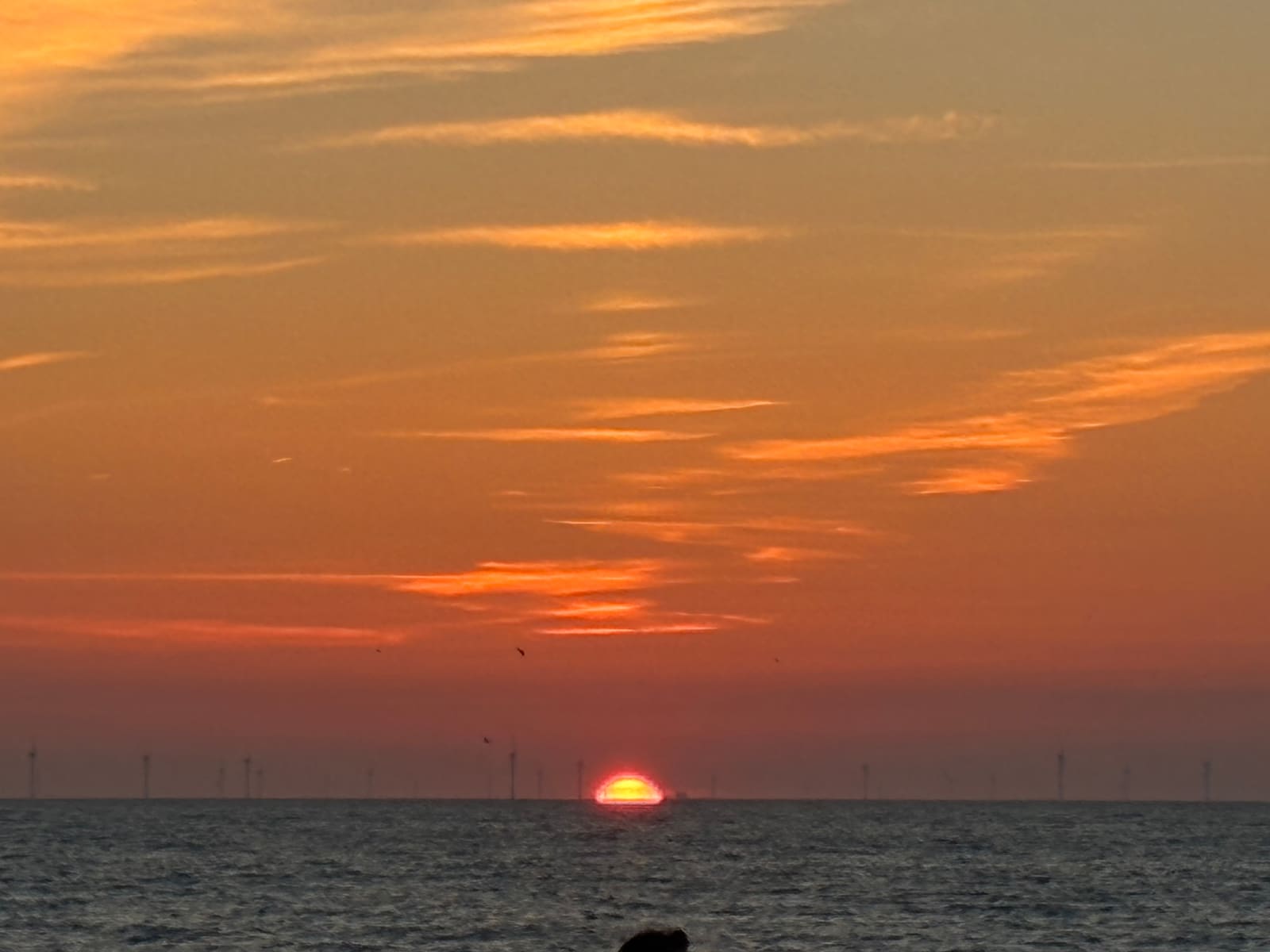 Golden sunset reflecting over the North Sea